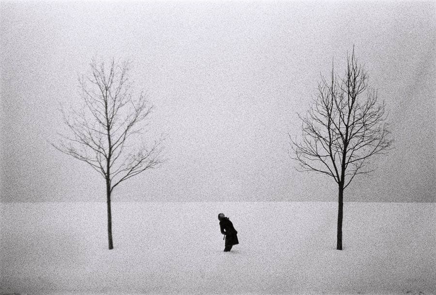 Vidadi Qafarov - Gözləməkliyin fenomenologiyası