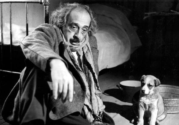  Aydın Talıbzadə -  ÖZ HÜCRƏSİNİN KRALI