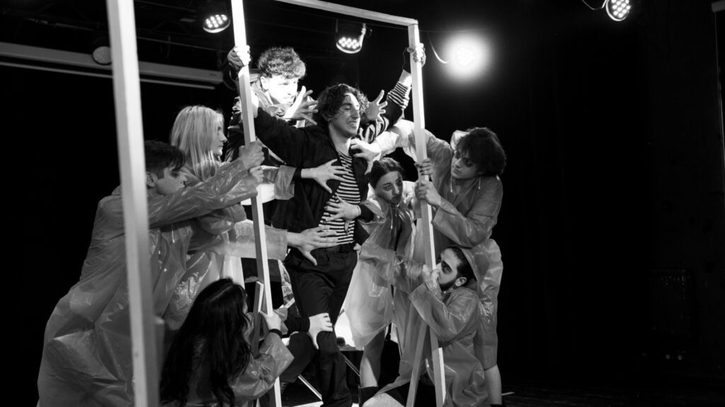 Aynur Zərrintac - Vineta